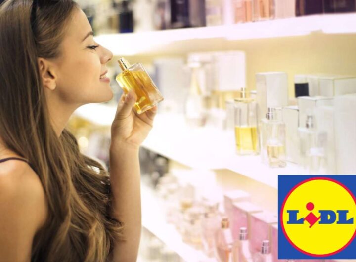 profumo lidl
