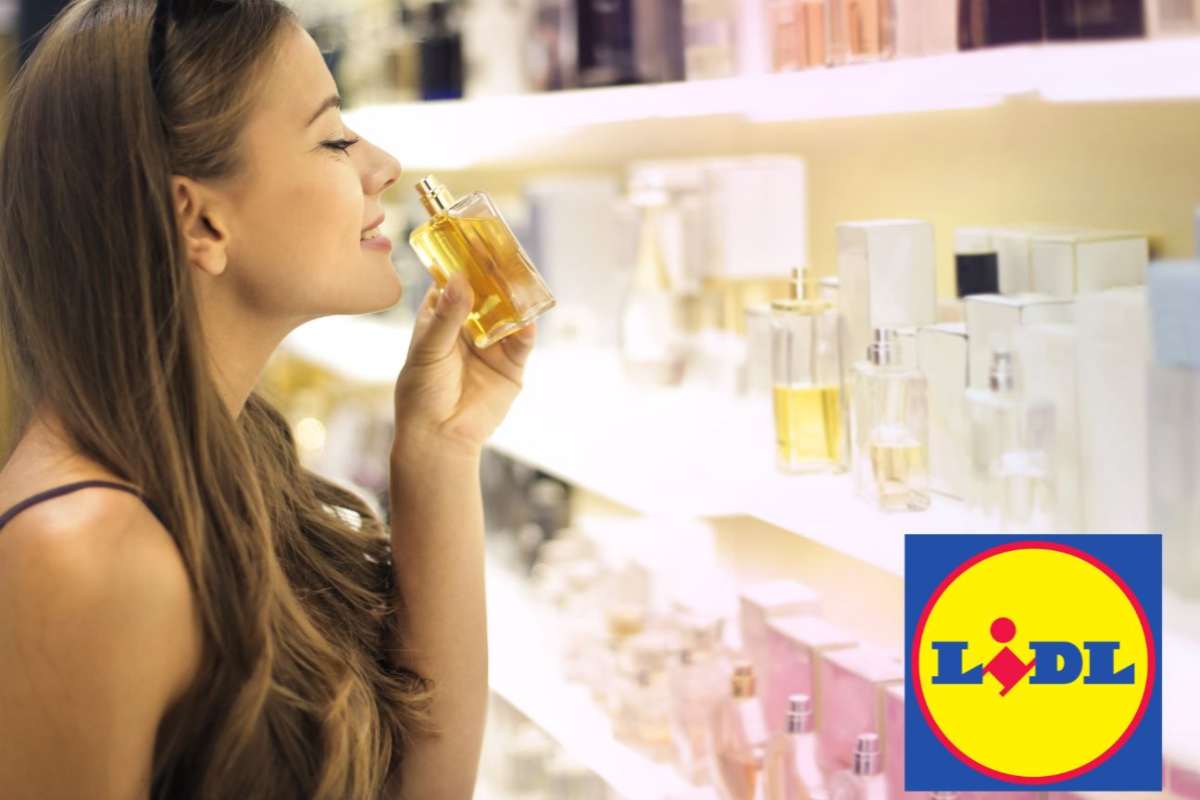 profumo lidl