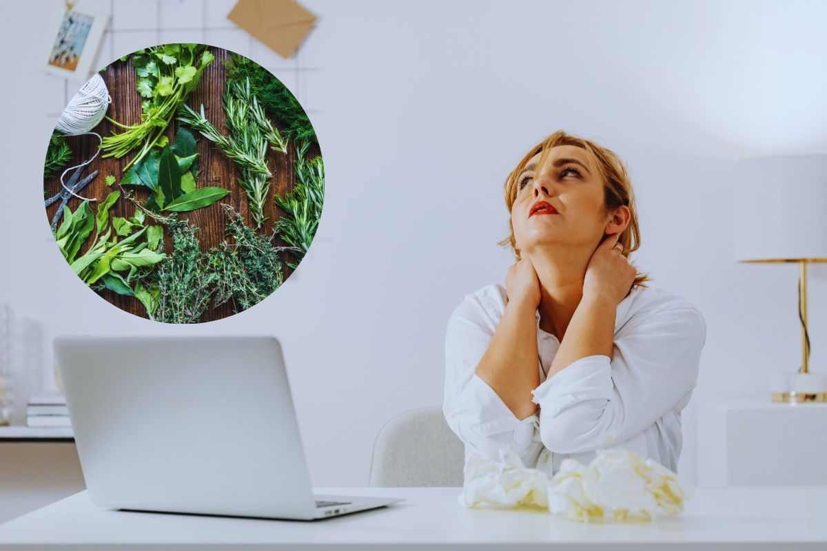 stress da rientro ed erbe per combatterlo