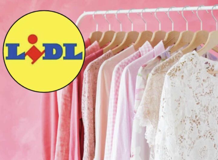 Vestiti lidl