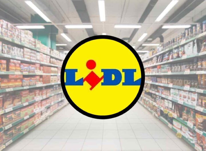 Negozio LIDL