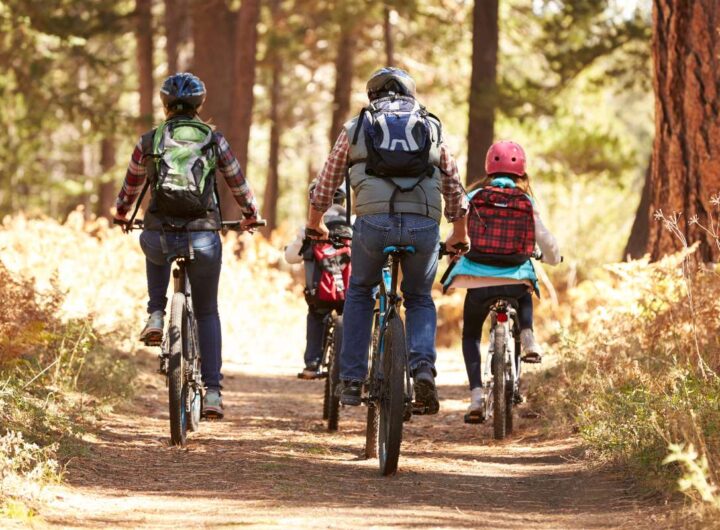 Famiglia che pedala insieme su un sentiero immerso in un bosco dai colori autunnali.