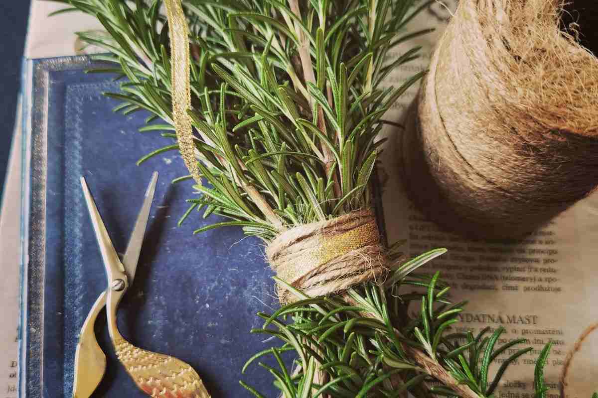 Trucchi per non far seccare il rosmarino