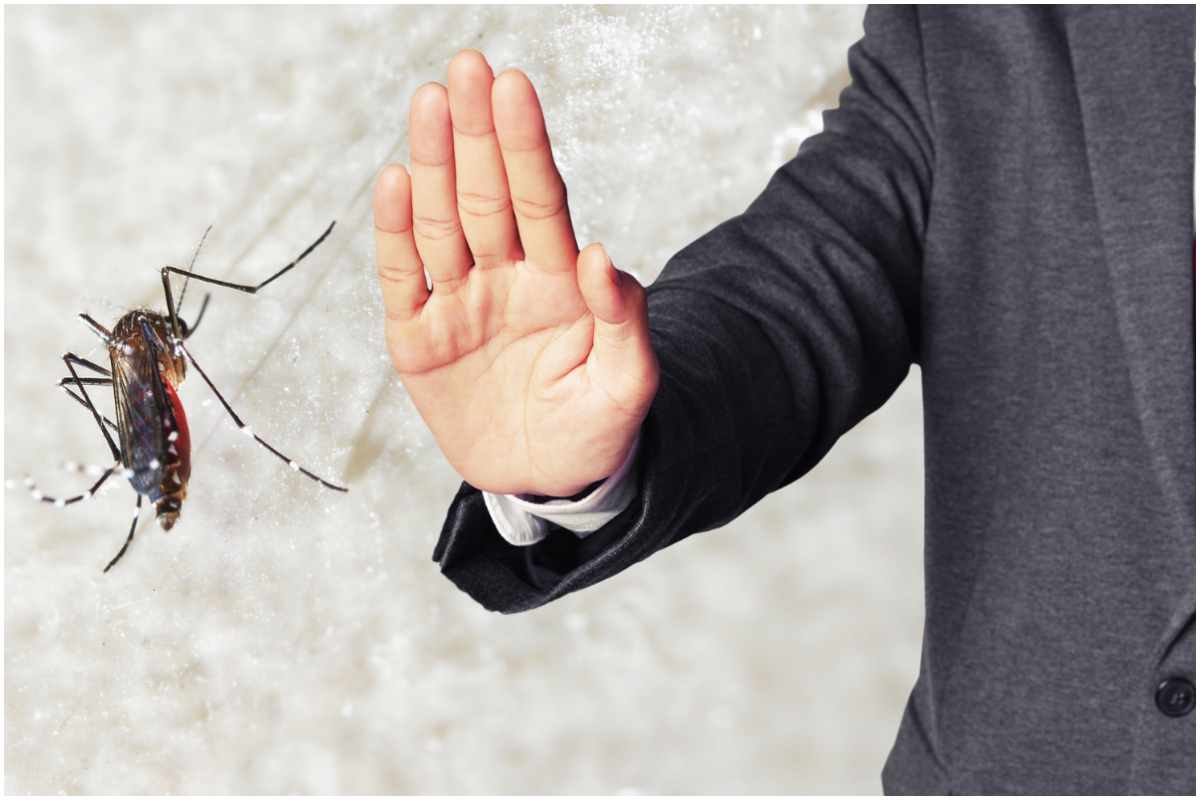 stop zanzare in casa usa questo metodo