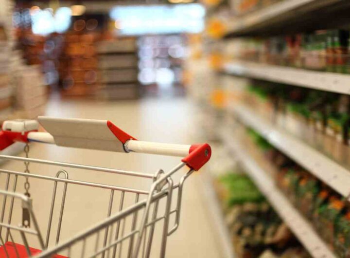 Quali sono i migliori biscotti per la dieta