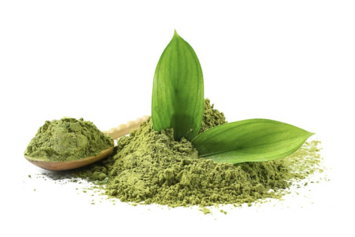 Per chi cerca profumi con un carattere deciso e contemporaneo, Matcha Tonic si presenta come una fragranza ambrata, muschiata e fumosa