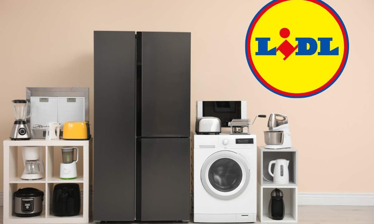 Lidl: offerte settimanali