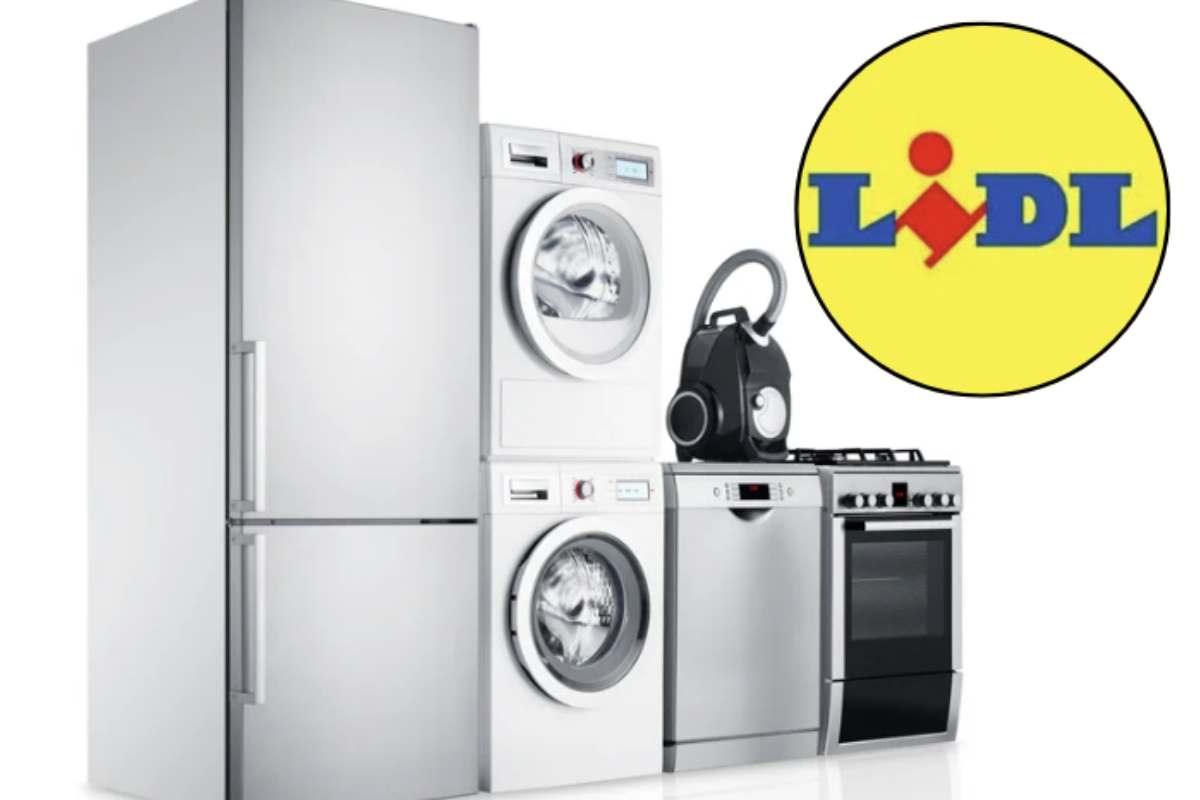 Tra le offerte più sorprendenti di quest’autunno spicca quella di Lidl, noto discount europeo, che propone a meno di 40 euro