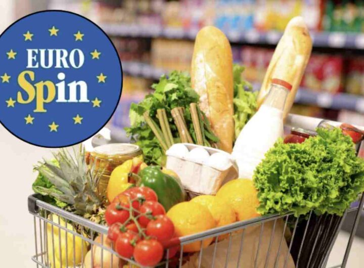 Un elemento che da sempre suscita interesse è la provenienza della frutta proposta dalla catena discount e il motivo per cui i prezzi risultano