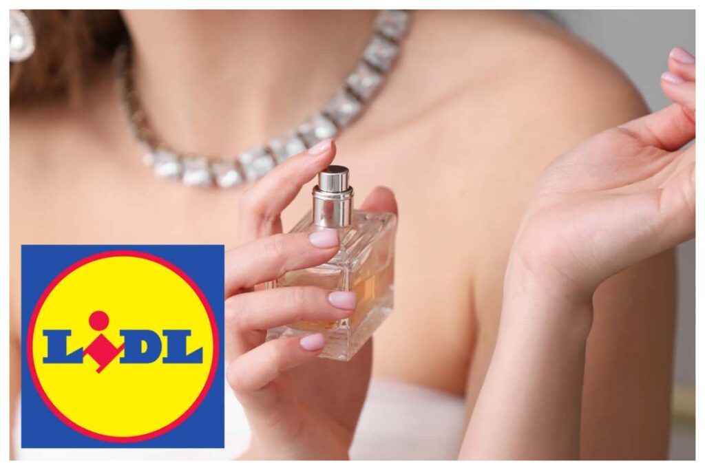 Lidl profumo donna