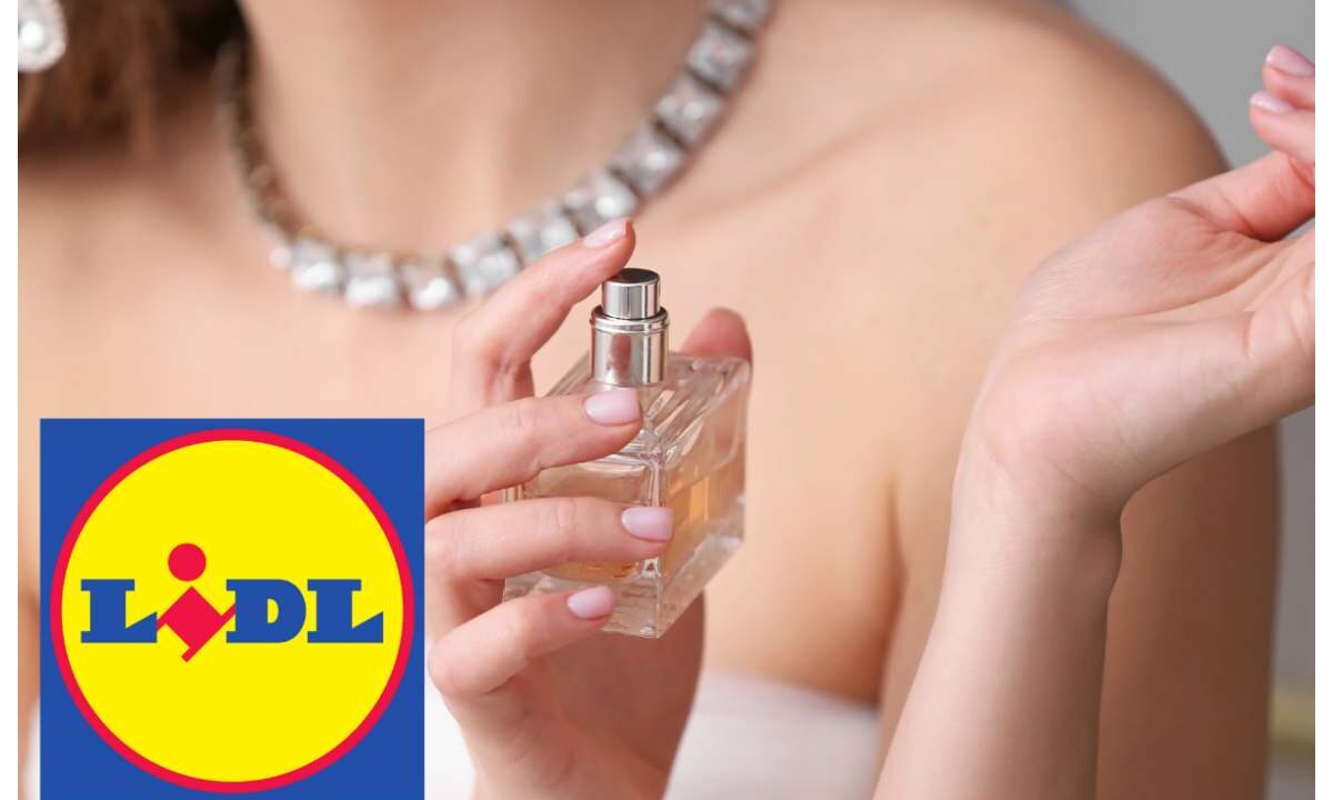 Lidl profumo donna
