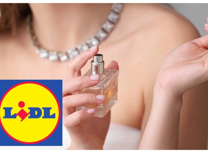 Lidl profumo donna