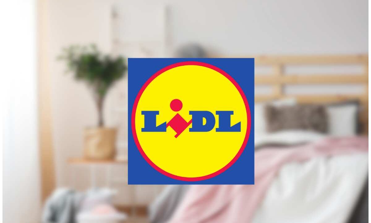 Lidl promo casa