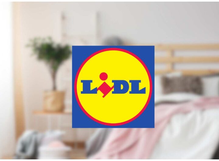 Lidl promo casa