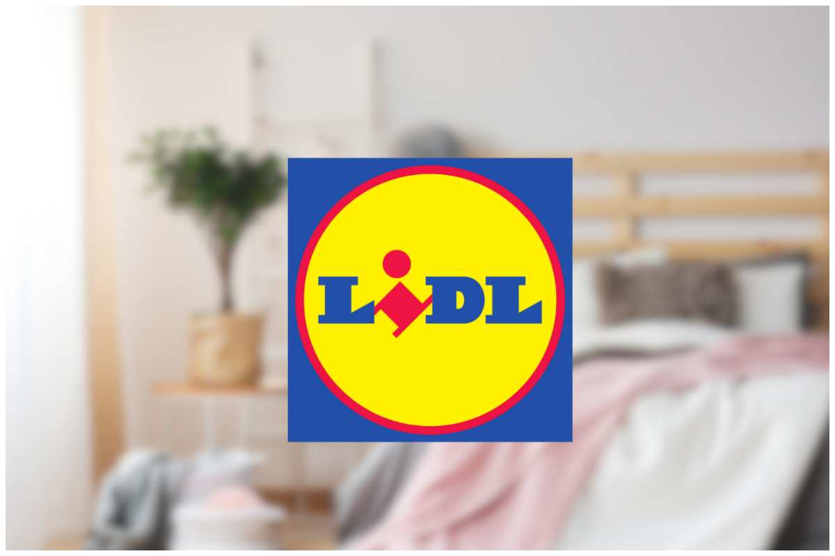 Lidl promo casa
