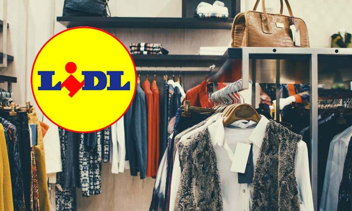 lidl champion