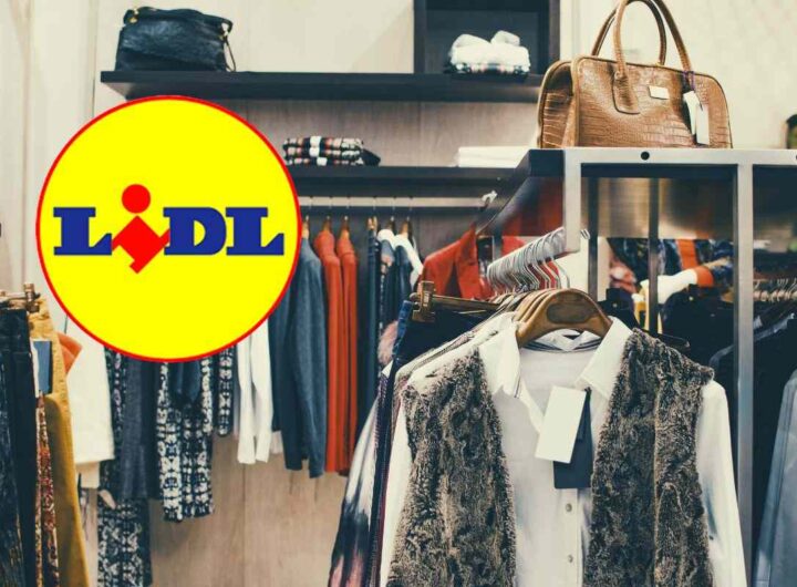 lidl champion