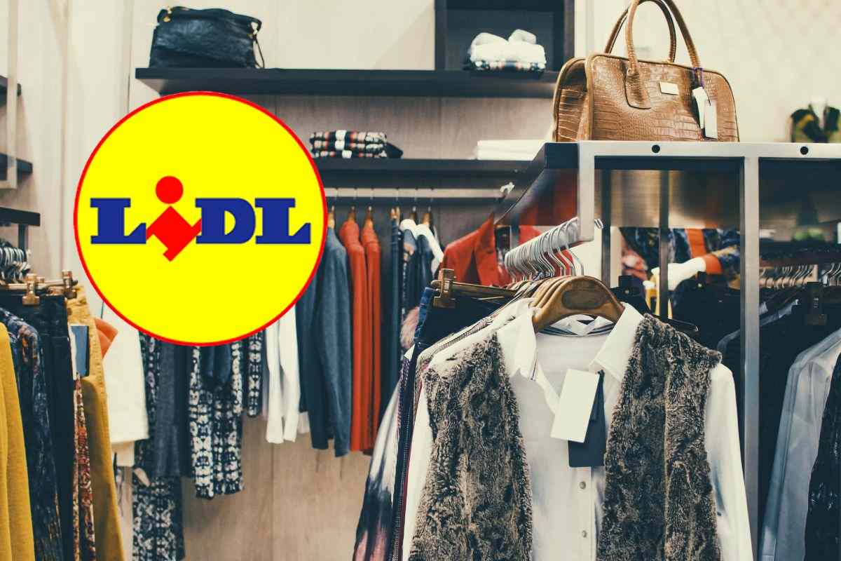 lidl champion