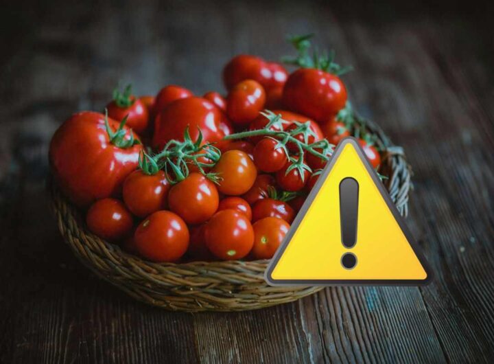 pomodori allerta