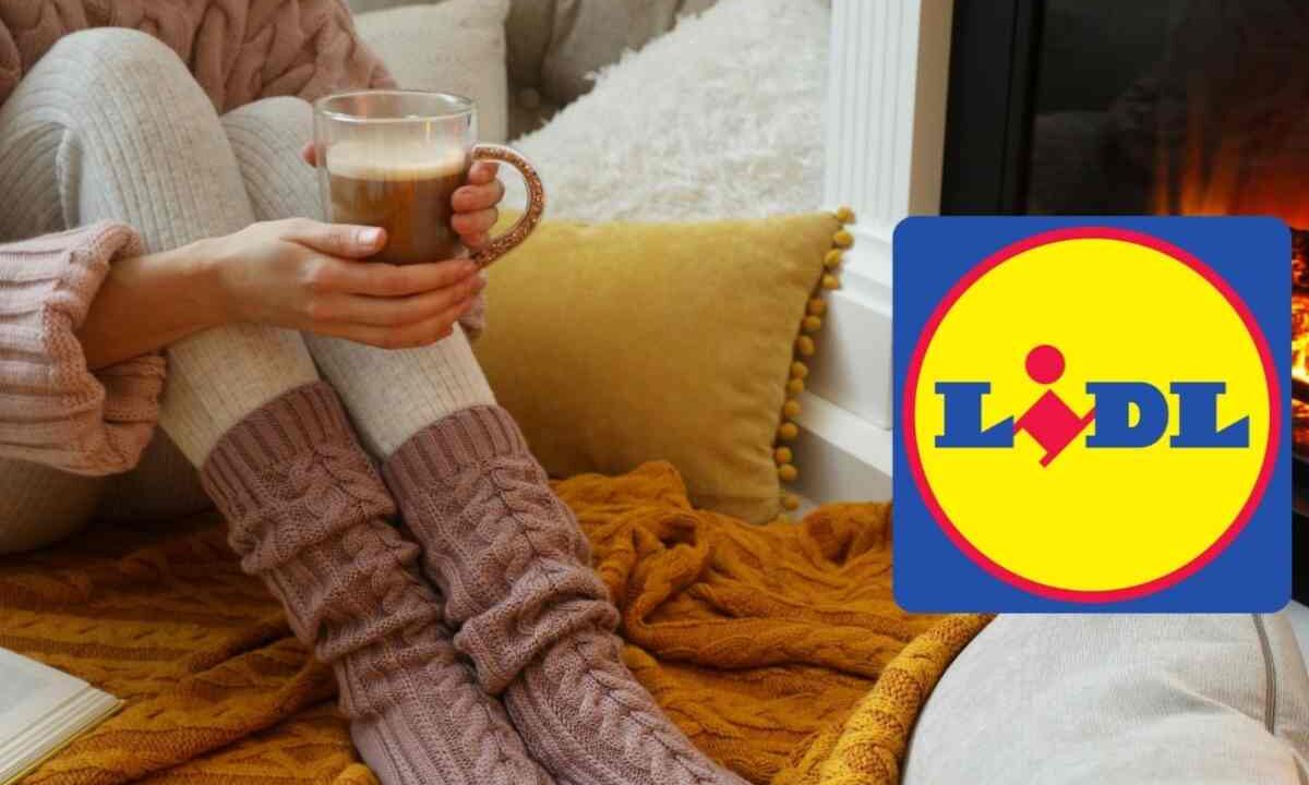 caldo casa lidl