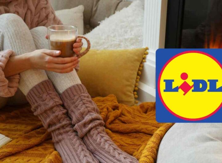 caldo casa lidl