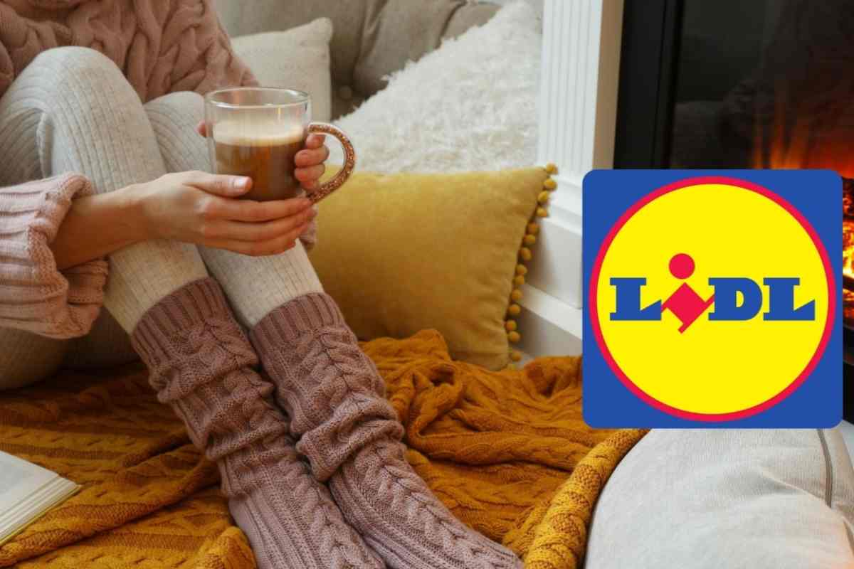 caldo casa lidl