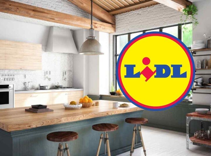 Lidl offerta