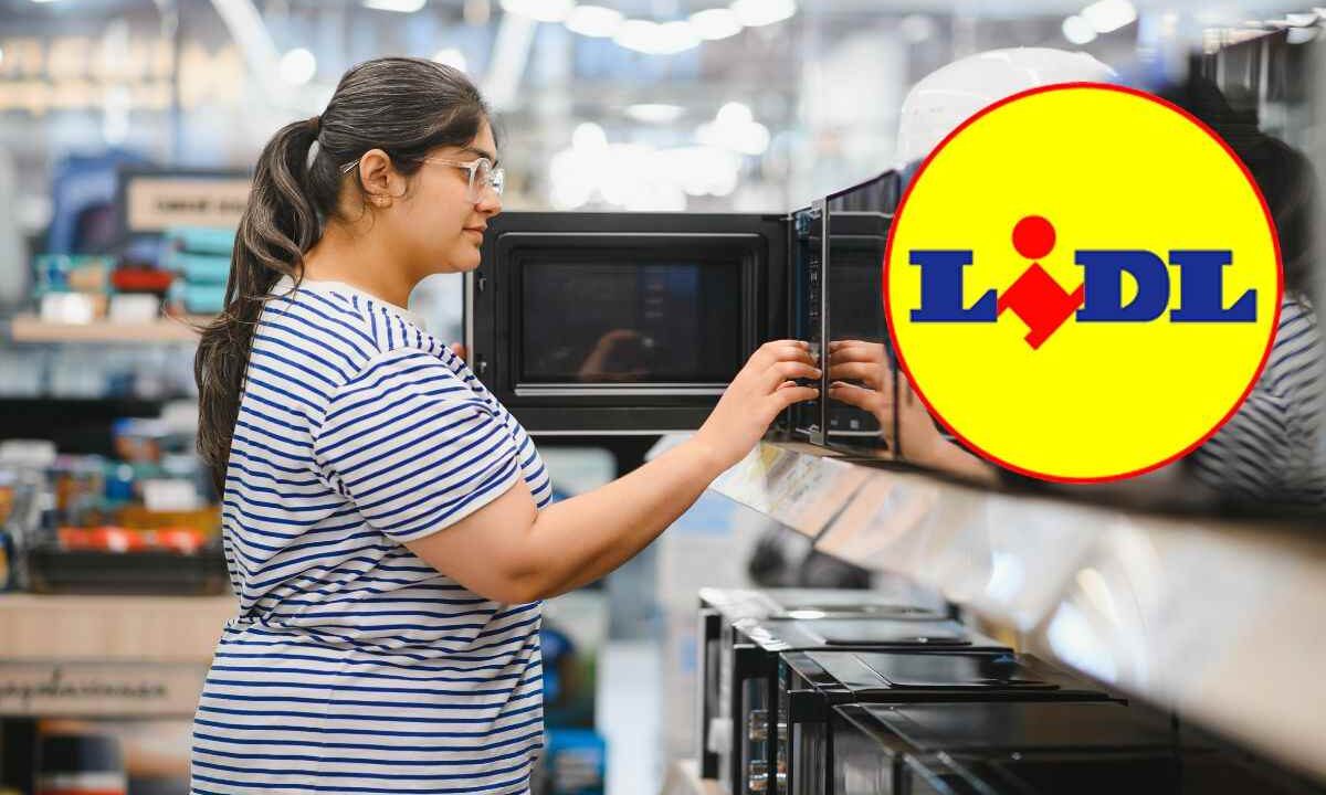 lidl tostiera 3in1