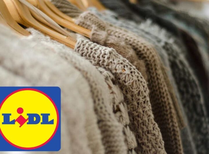 maglie lidl
