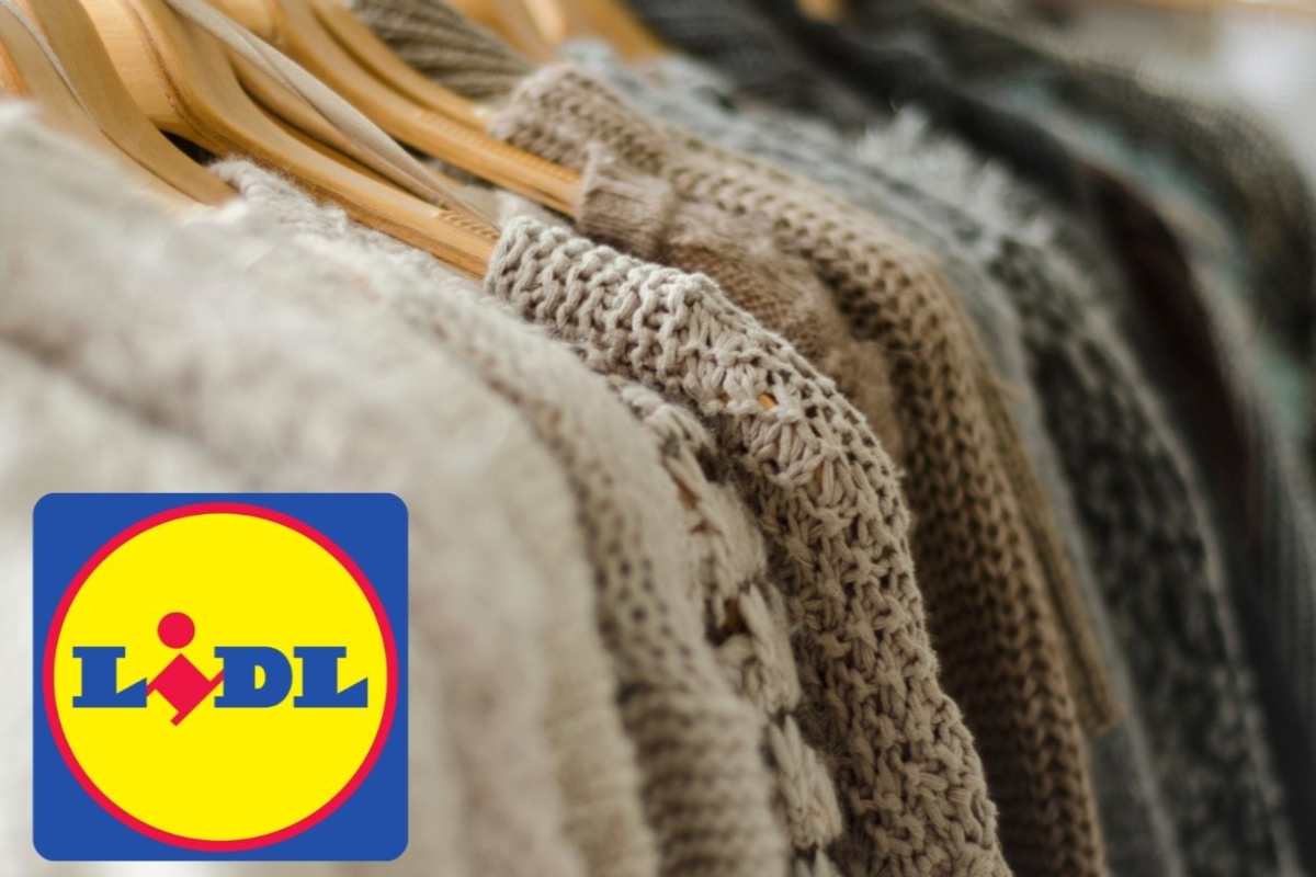 maglie lidl