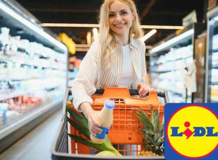 offerte lidl
