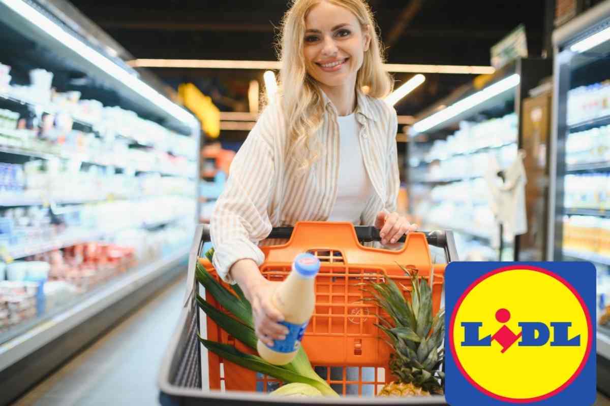 offerte lidl