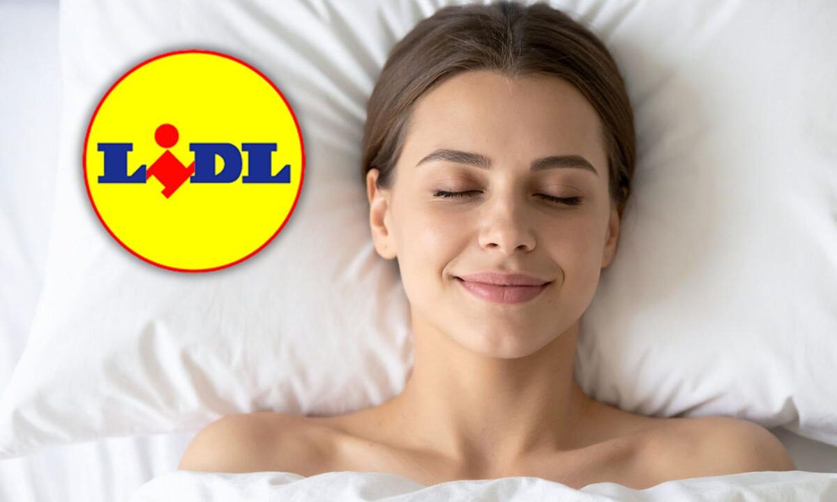 scaldaletto lidl offerta