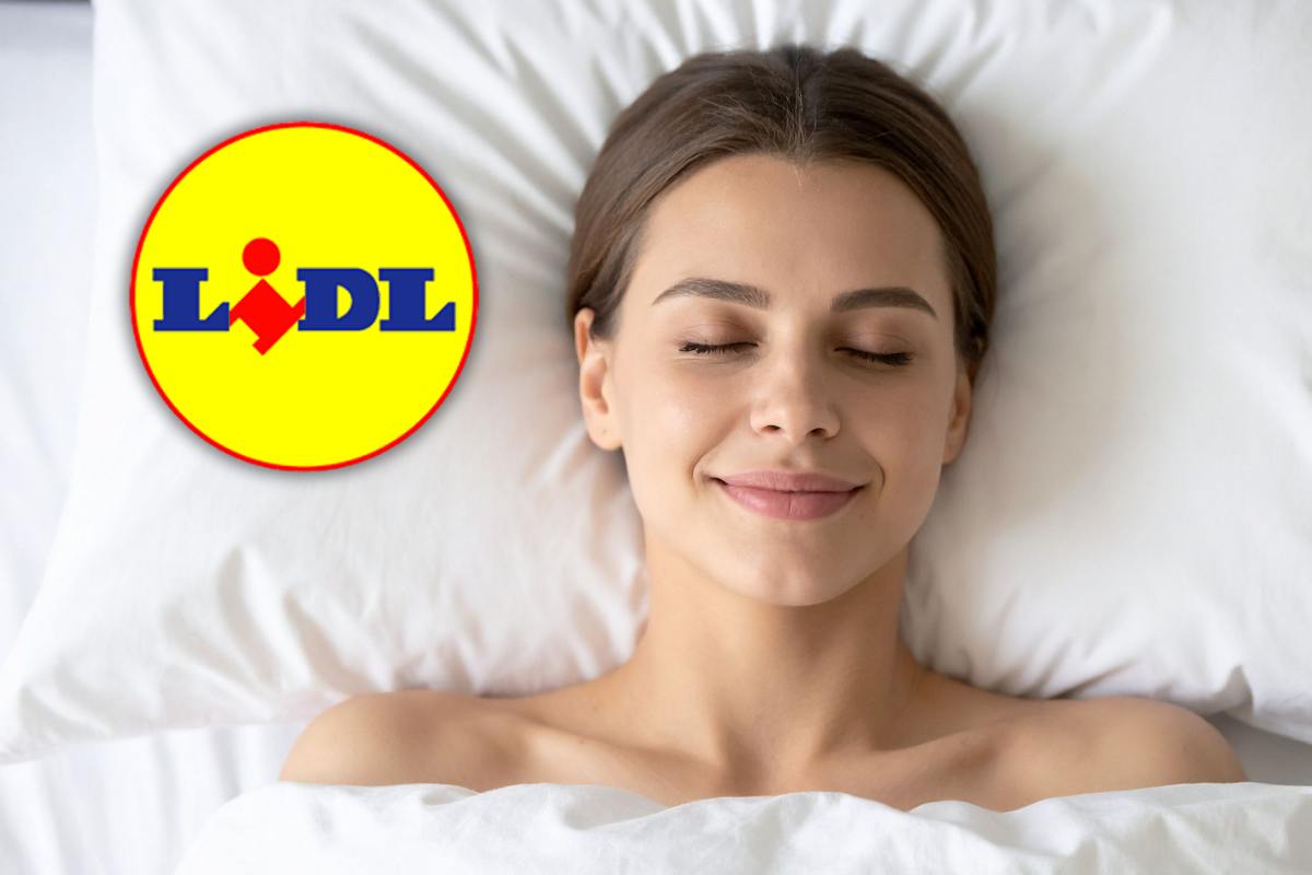 scaldaletto lidl offerta