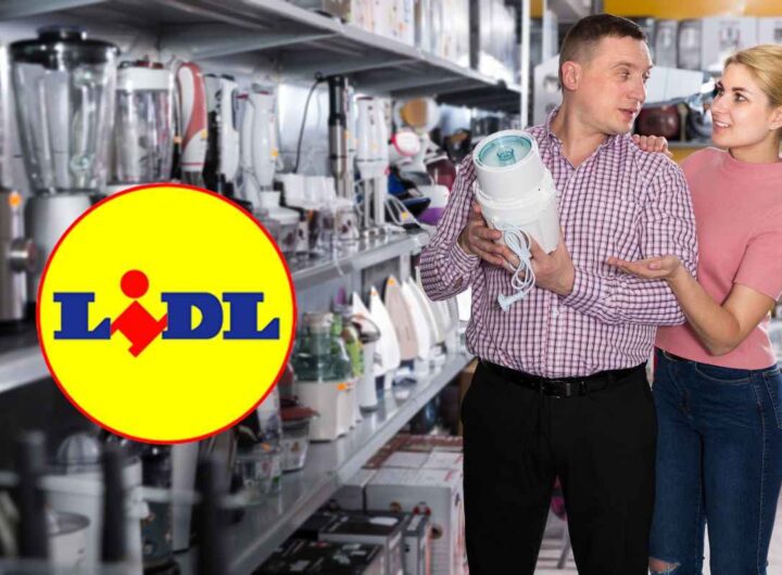 lidl tritatutto silvercrest a 9.99 euro