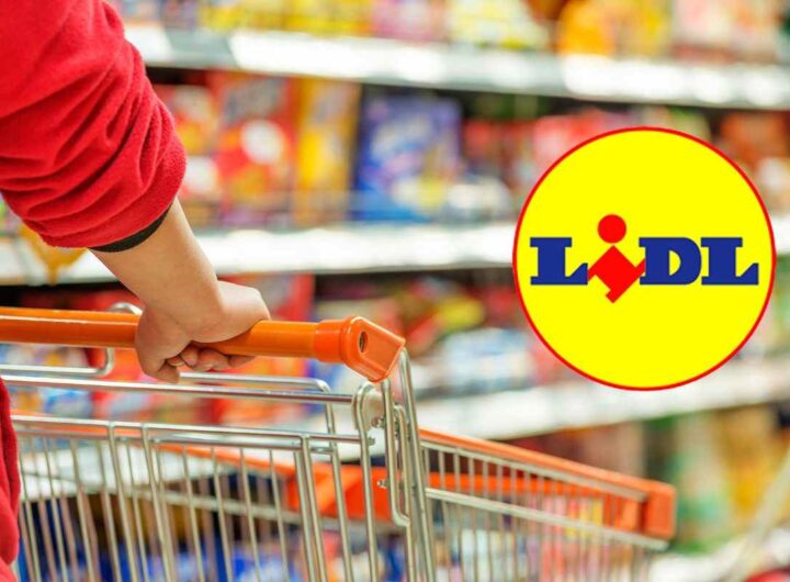 lidl bollitore elettrico
