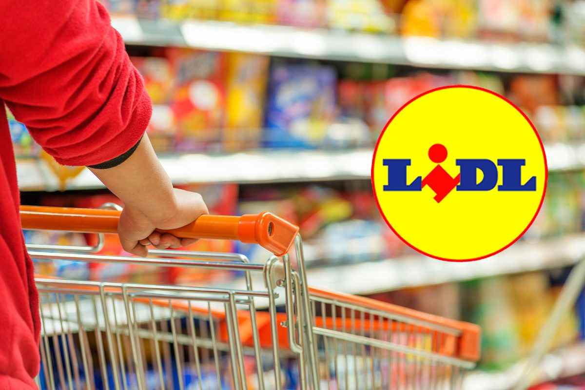 lidl bollitore elettrico