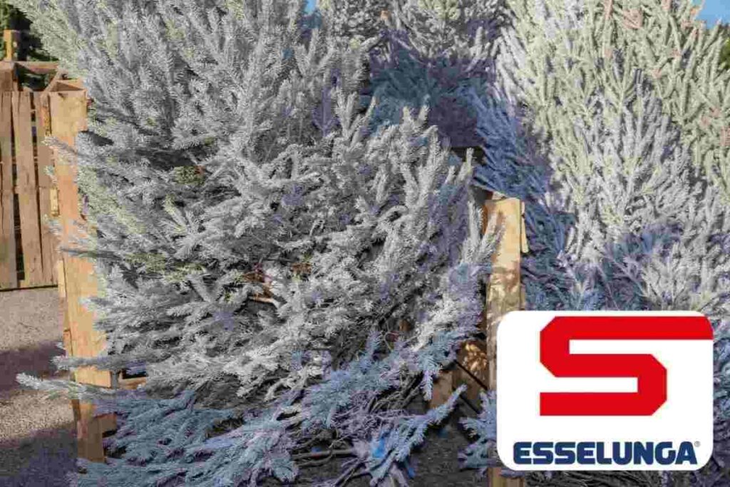 albero natale esselunga