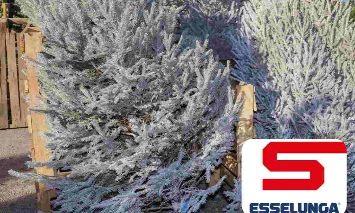 albero natale esselunga