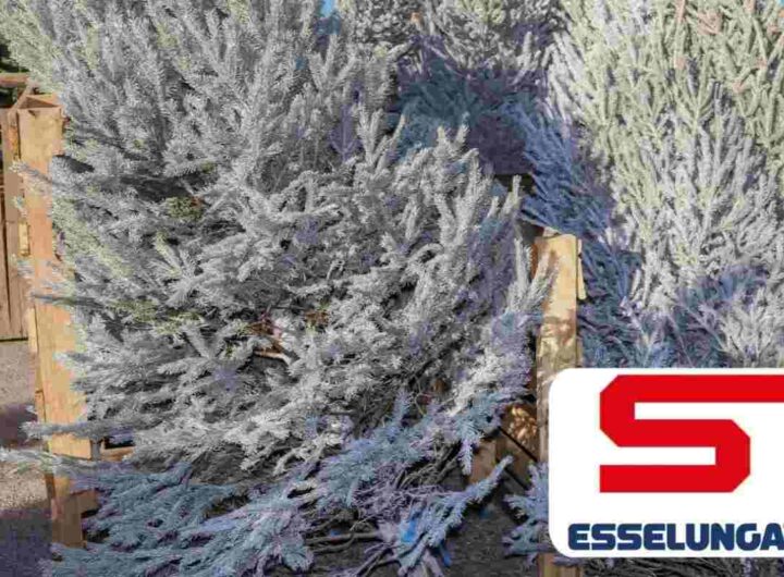 albero natale esselunga