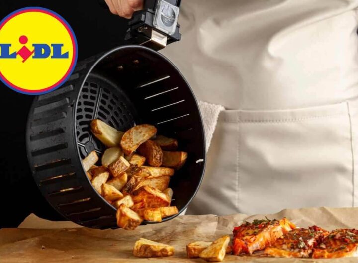Lidl, la friggitrice ad aria con funzioni plus costa meno della metà