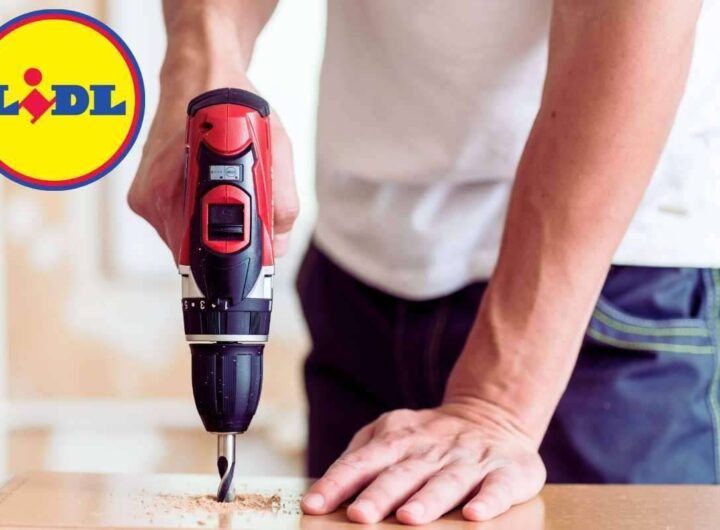 da Lidl l'ho preso a 10 euro: che sogno