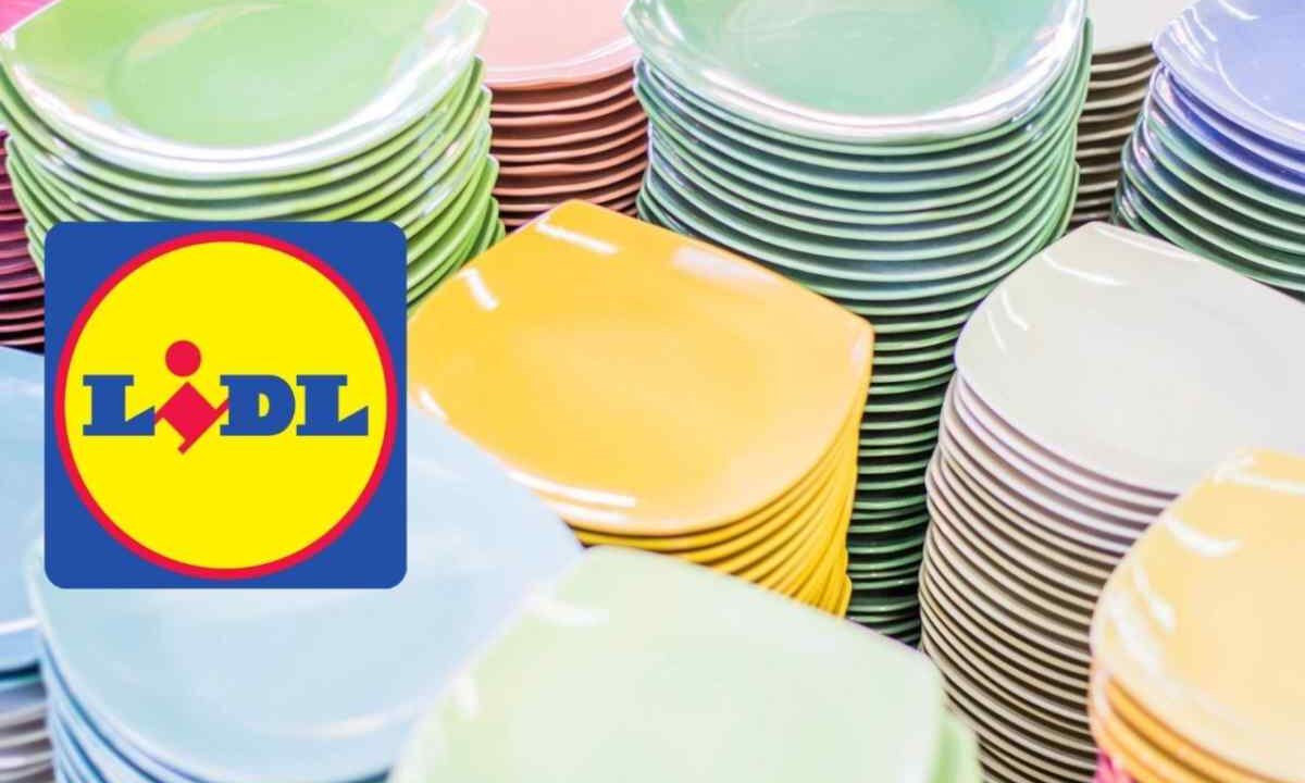 piatti lidl