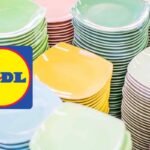 piatti lidl