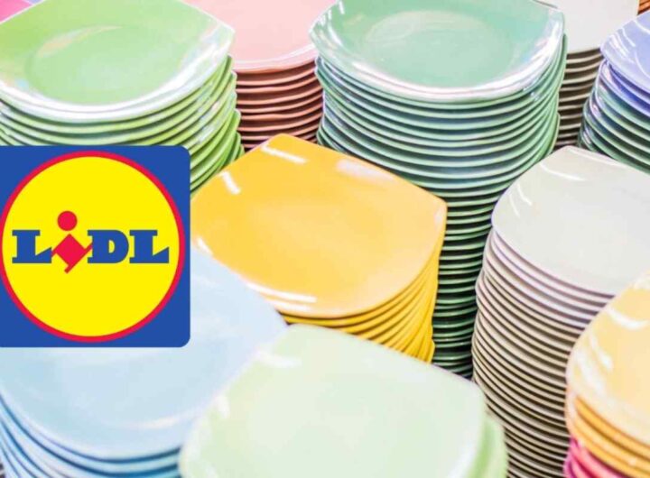 piatti lidl