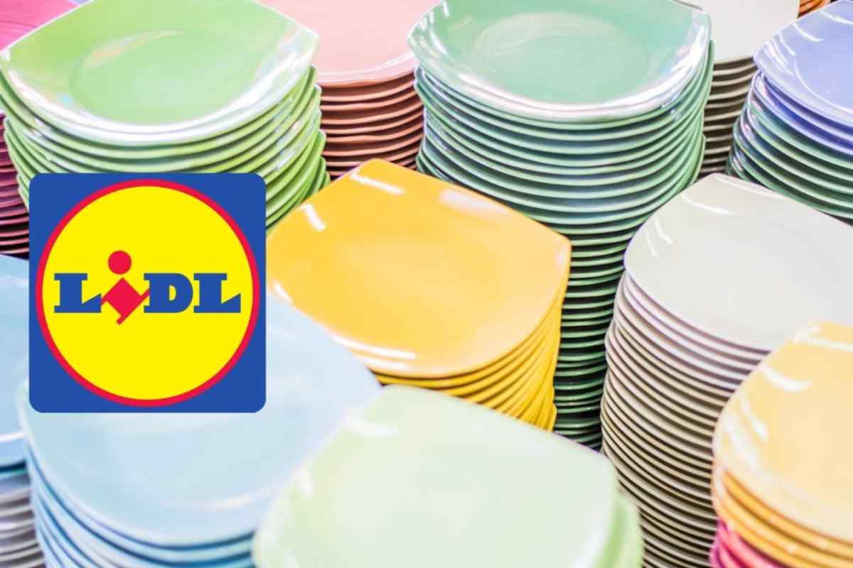 piatti lidl